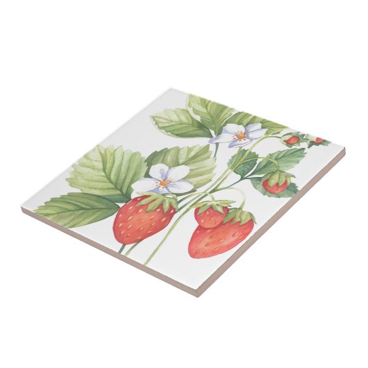 Carreau Fraises (Côté)