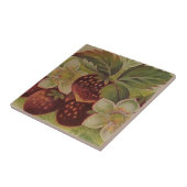 Carreau Fraises (Côté)