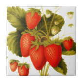 Carreau Fraises anciennes avec feuilles vertes (Devant)