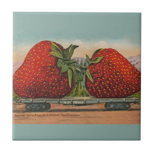 Carreau Fraises Giant Fruit Antique Fruit Amusant (Devant)