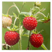 Carreau Fraises Nature Beaux Art Mode (Devant)