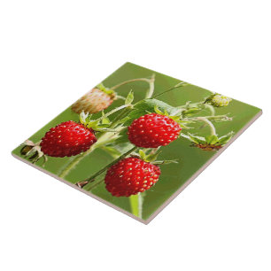 Carreau Fraises Nature Belle Art Mode