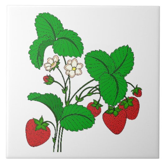 Carreau Fraises pour le petit-déjeuner (Devant)