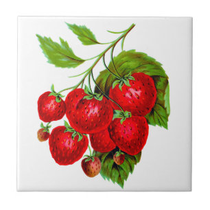 Carreau Fraises rouges juteuses