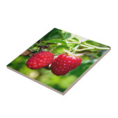 Carreau Framboise (Côté)