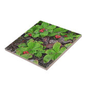 Carreau Framboise aux baies (Côté)