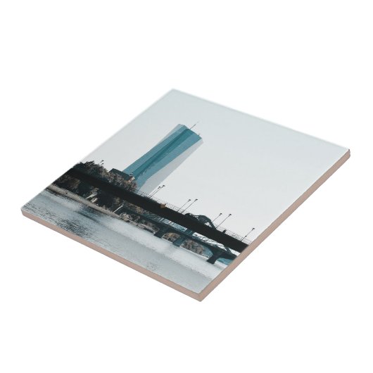 Carreau Francfort vue (Côté)