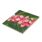Carreau frangipani (Côté)