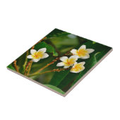 Carreau Frangipani jaune (Côté)