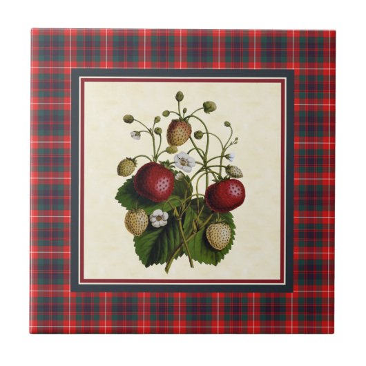 Carreau Fraser de Lovat Tartan moderne avec fraise (Devant)