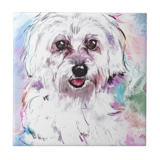 CARREAU FREDDY (Devant)