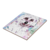 CARREAU FREDDY (Côté)