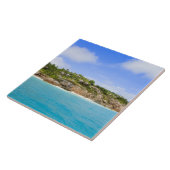 Carreau Fregate Island resort (PR) (Côté)