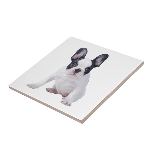 Carreau Frenchie - Chien français (Côté)