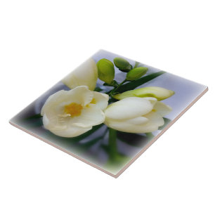 Carreau frénésie jaune blanc