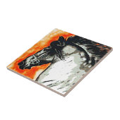 Carreau Friesian Mustang (Côté)