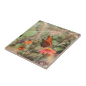 Carreau Fritillaire du Golfe sur Zinnia (Côté)