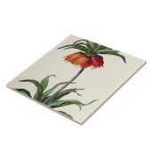 Carreau Fritillaria Imperialis de, "Les Lilacees", 1802- (Côté)