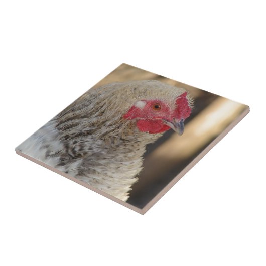 Carreau Frizzle Rooster (Côté)