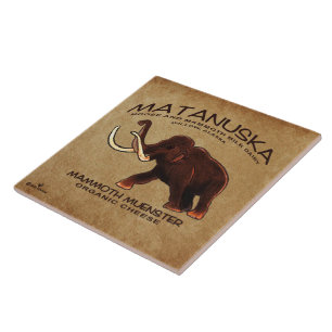 Carreau Fromage de menster Matanuska Mammoth