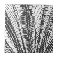 Frondes tropicales modernes noires et blanches de