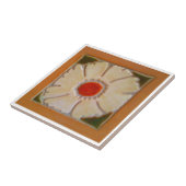 Carreau Frontière Terra Cota (Côté)