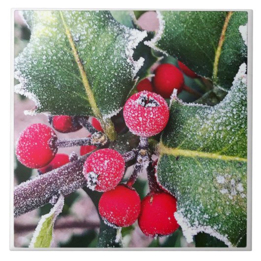 Carreau Frosty Holly (Devant)