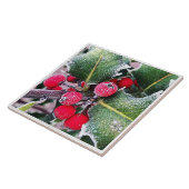 Carreau Frosty Holly (Côté)