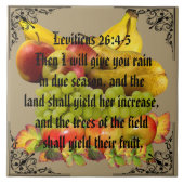 CARREAU FRUIT (Devant)