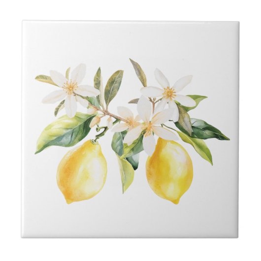 Carreau Fruits de citron et fleurs blanches Branche de l'a (Devant)