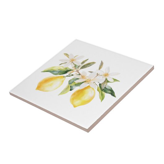 Carreau Fruits de citron et fleurs blanches Branche de l'a (Côté)