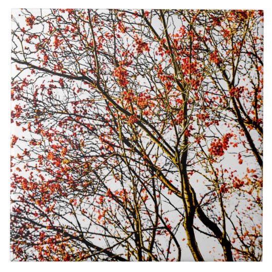 Carreau Fruits rouges ou fraises (Devant)