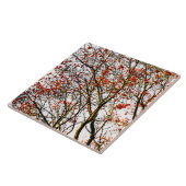 Carreau Fruits rouges ou fraises (Côté)