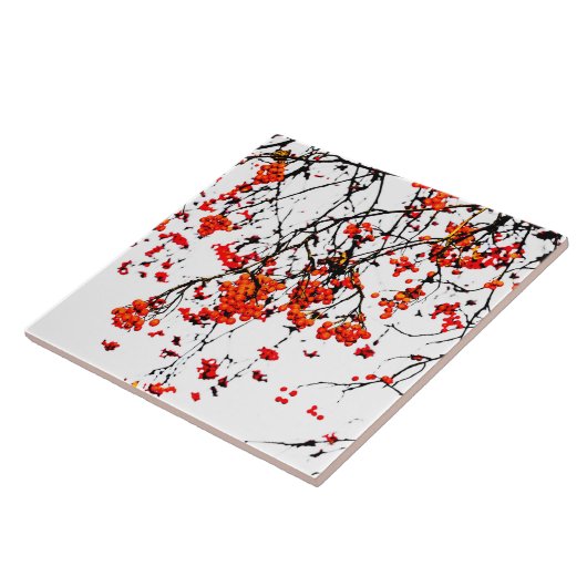 Carreau Fruits rouges ou fraises (Côté)