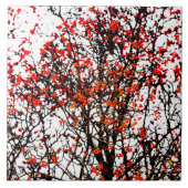 Carreau Fruits rouges ou fraises (Devant)