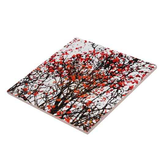 Carreau Fruits rouges ou fraises (Côté)