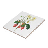 Carreau Fruits vintages Fraises de fraises alimentaires pa (Côté)