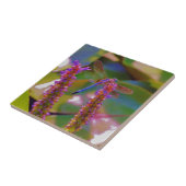 Carreau Fuchsia fleur et dragon mouche (Côté)