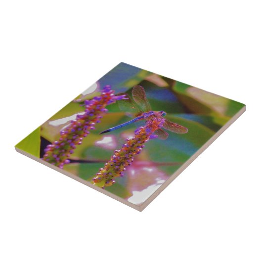 Carreau Fuchsia fleur et dragon mouche (Côté)