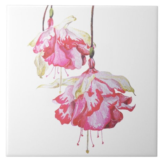 Carreau Fuchsias exotiques sur carrelage en céramique (Devant)
