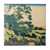 Carreau Fuji de passage de Mishima (Devant)