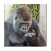 CARREAU FUNNY GORILLA (Devant)