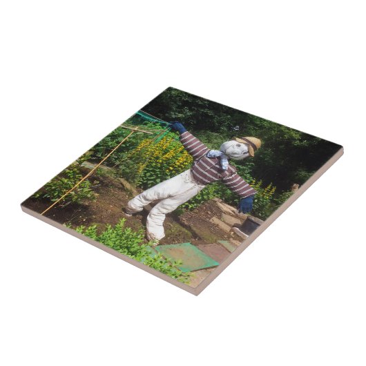 Carreau Funny scarecrov (Côté)