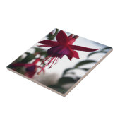 Carreau Fuschia (Côté)