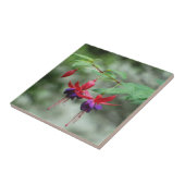 Carreau Fuschia1A.jpg (Côté)