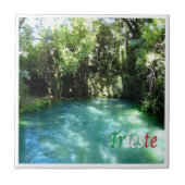 Carreau FVG016 TRIESTE, Risorgive del Timavo, (Devant)