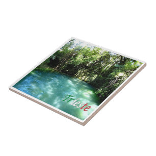 Carreau FVG016 TRIESTE, Risorgive del Timavo,