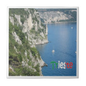 Carreau FVG017 TRIESTE, Path Rilke, Italie, (Devant)