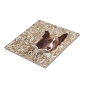 Carreau Gael (Côté)