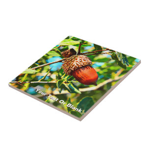Carreau Galilee Acorn